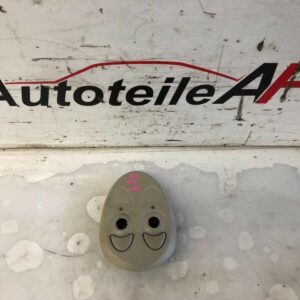 Mini Cooper R50 R53 Leseleuchte Leselampe Innenleuchte 6962019