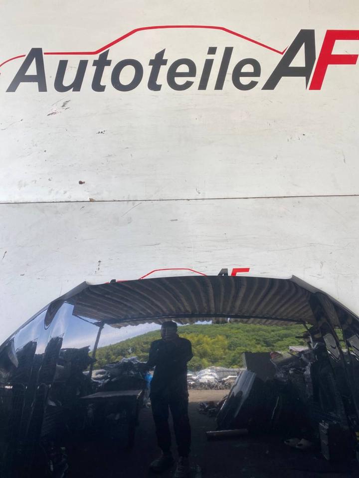 Audi A3 8P Facelift Motorhaube Haube Deckel Vorne LZ9Y – Bild 9