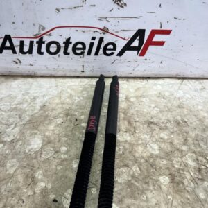 BMW 6er F06 Heckklappenfederbein Dämpfer 7360583