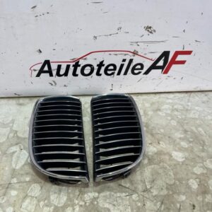BMW 3er E90 E91 Ziergitter Chromrahmen Vorne 22405910