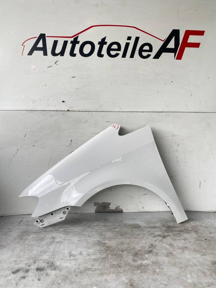 VW Touran 1T2 GP1 Kotflügel Seitenwand Vorne Rechts Links LB9A – Bild 2