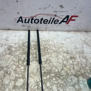 Mercedes E-Klasse W212 Motorhaubendämpfe Links Rechts 9007YN0290N