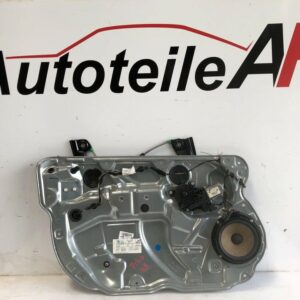 VW Polo 9N3 Türblatt Türblech Vorne Links