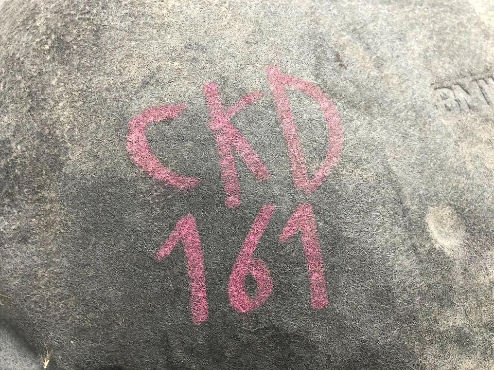 BMW 3er E90 E91 Radhaus Radhausschale 7200947 7200948 – Bild 9