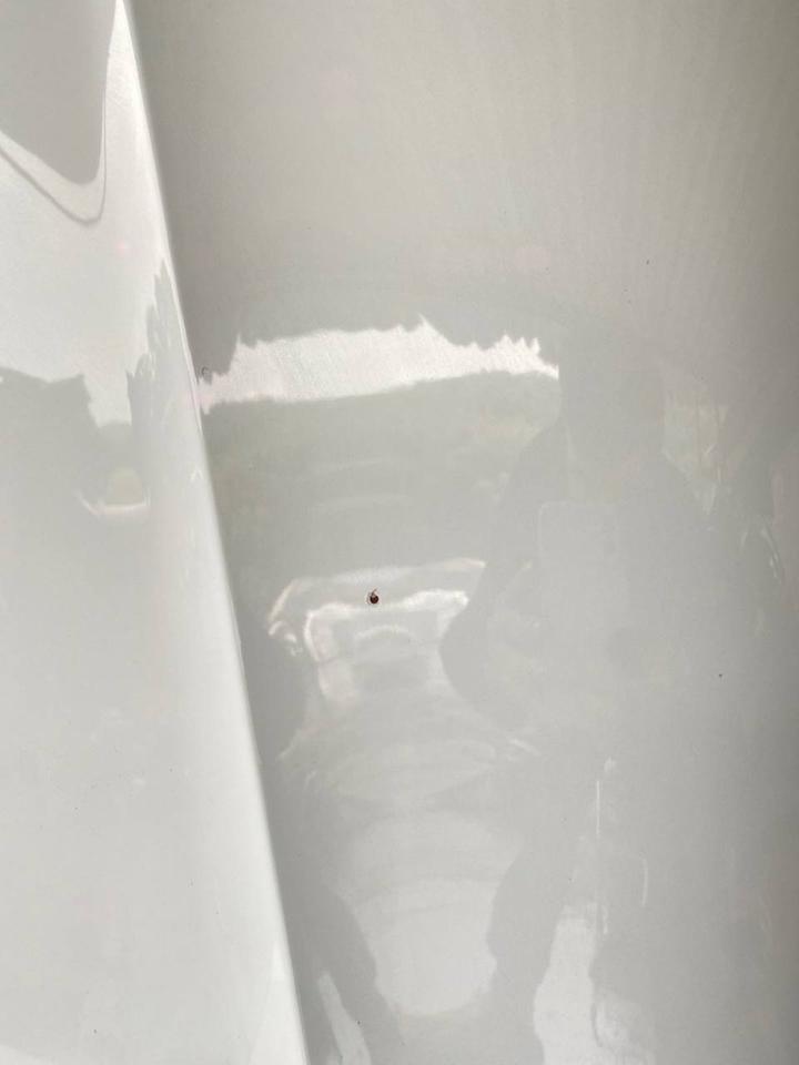 Audi A4 B8 8K Facelift Motorhaube Haube Deckel Vorne LS9R – Bild 10