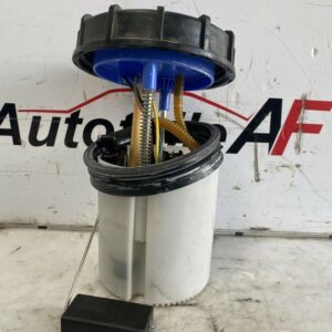 Seat Skoda Audi VW 6R 6C Kraftstoffpumpe Benzinpumpe 6R0919051N