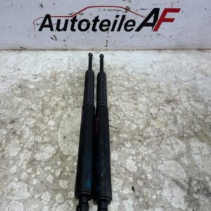 BMW 5er F11 Federstütze Heckklappe Dämpfer Hinten 7266350 7207011
