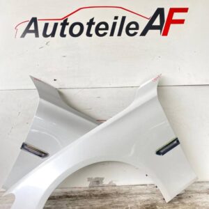 BMW 7er F01 F02 F04 Kotflügel Seitenwand Vorne Rechts A96
