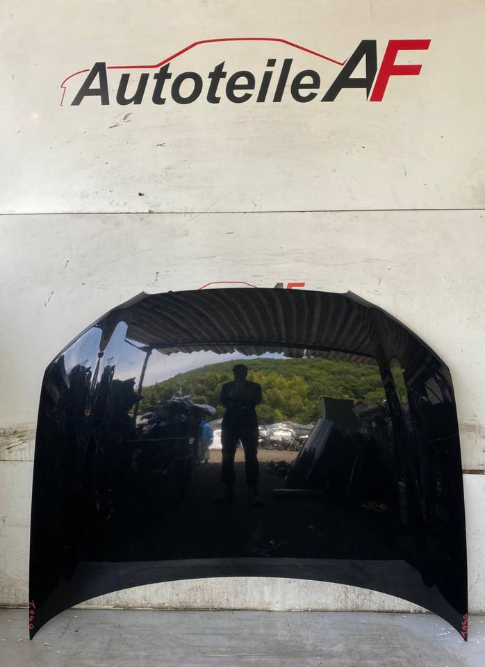 Audi A3 8P Facelift Motorhaube Haube Deckel Vorne LZ9Y