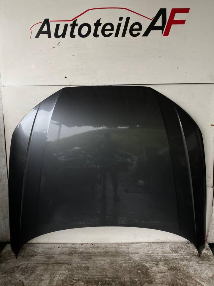 Audi A4 B9 8W Motorhaube Haube Frontklappe Deckel Vorne LZ7S