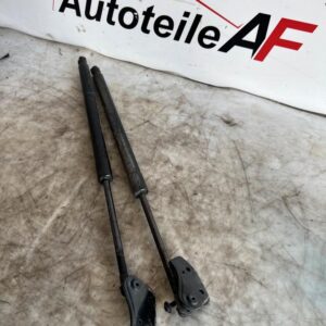 VW Sharan 7N Kofferaumdämpfer Dämpfer Hinten 7N0827550