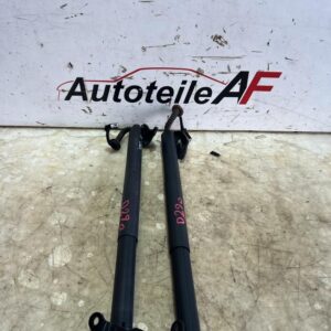 BMW 2er F45 Heckklappendämpfer Spindelantrieb 7348523