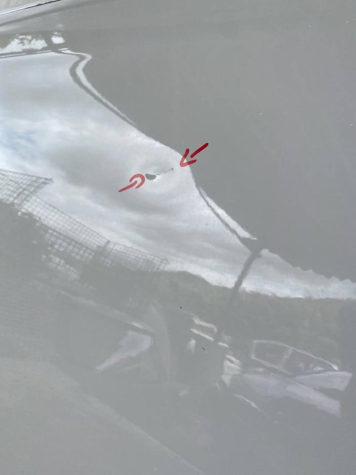 VW Golf 5 V 6 VI Variant Tür Türblatt Türblech Vorne Links LB9A – Bild 7