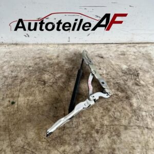 BMW 1er E82 Heckklappenscharnier 7166751