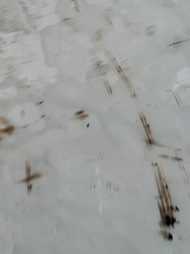 Mercedes W124 W126 Steuergerät 0055452132 – Bild 4