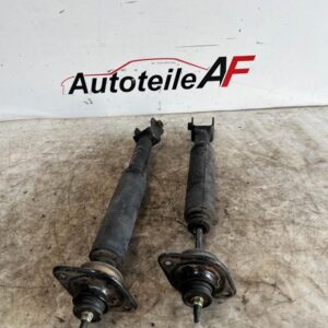 Nissan 350z z33 Stoßdämpfer Dämpfer Federbein Hinten