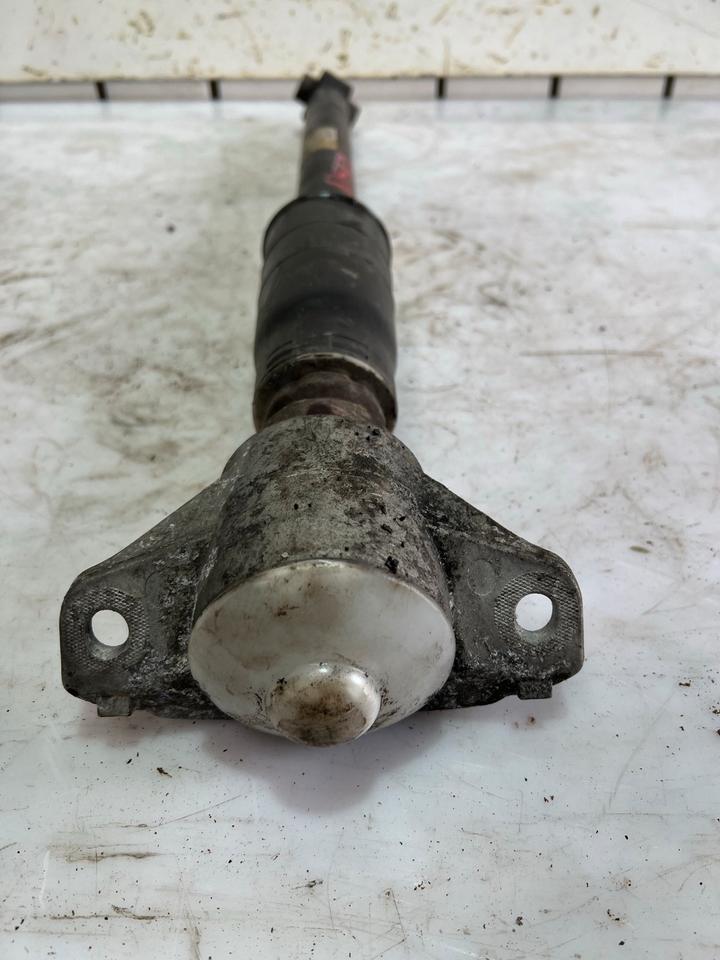 Audi A4 B9 8W Stoßdämpfern Federbein Dämpfer Hinten – Bild 3