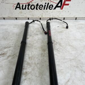 Range Rover Evoque L538 Hecklappe Dämpfer Hinten