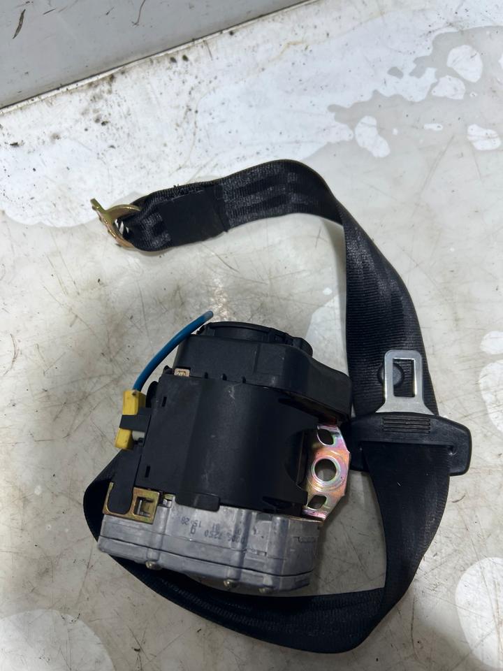 Audi A6 4B C5 Gurt Sicherheitsgurt Hinten Rechts Links – Bild 10
