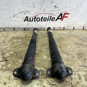 VW Passat B8 3G Stoßdämpfer Federbein Dämpfer Hinten