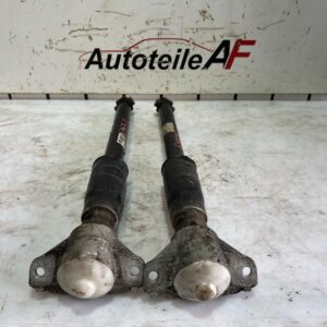 Audi A4 B9 8W Stoßdämpfern Federbein Dämpfer Hinten