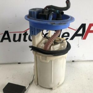 Seat Skoda Audi VW 2.0 Benzinpumpe Kraftstoffpumpe 1K0919051AE