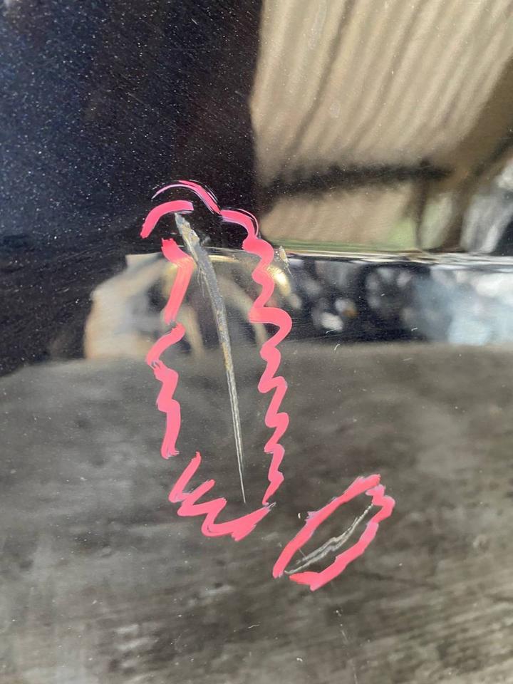 VW Passat B7 3C Alltrack Tür Vorne Rechts Beifahrertür LC9X – Bild 9