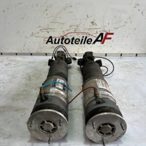 BMW 7er F01 F02 Stoßdämpfer Federbein Hinten 6796929 6796930