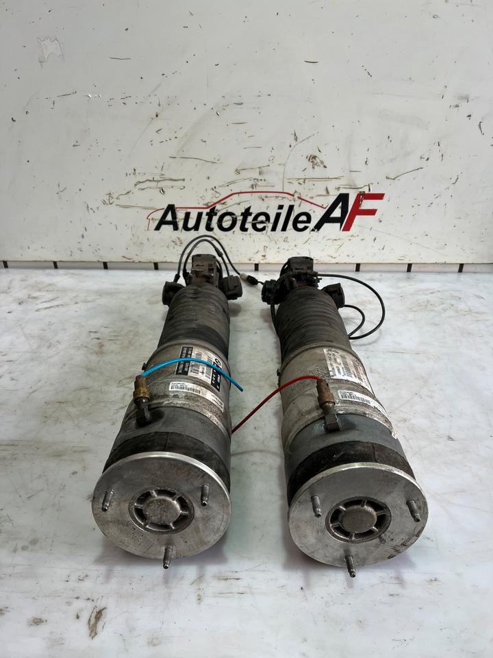 BMW 7er F01 F02 Stoßdämpfer Federbein Hinten 6796929 6796930