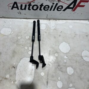 BMW 5er F10 F11 Motorhauben Dämpfer 7308119