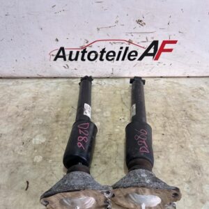 BMW 3er F31 Stoßdämpfer Dämpfer Federbein Hinten 6791589