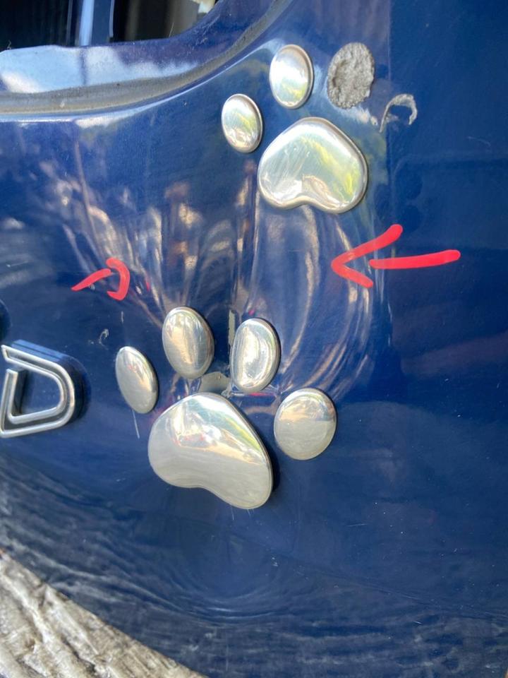 Mini Clubman F54 Heckklappe Kofferraumdeckel Deckel Hinten B69 – Bild 8