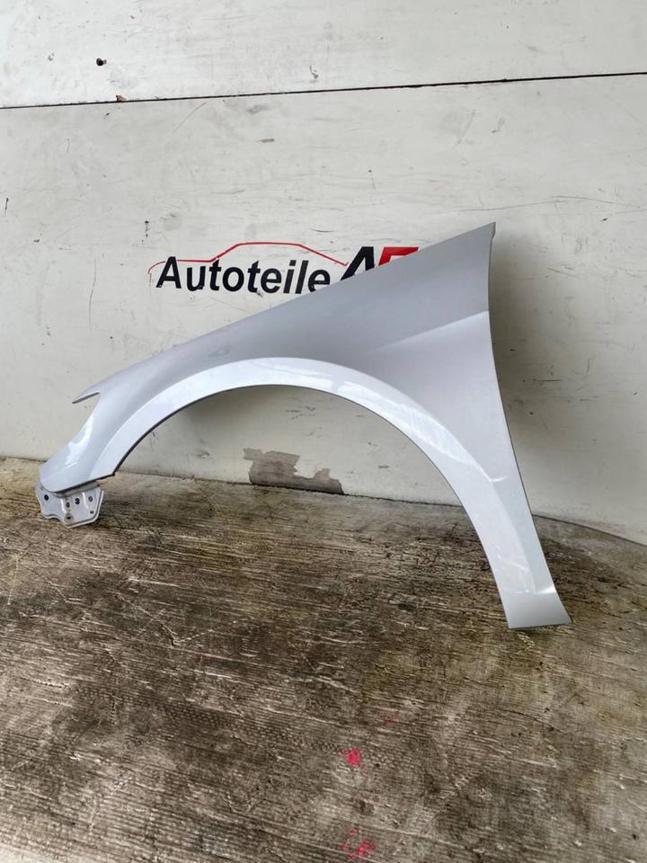 VW Passat CC Kotflügel Seitenwand Vorne Rechts LA7W – Bild 7