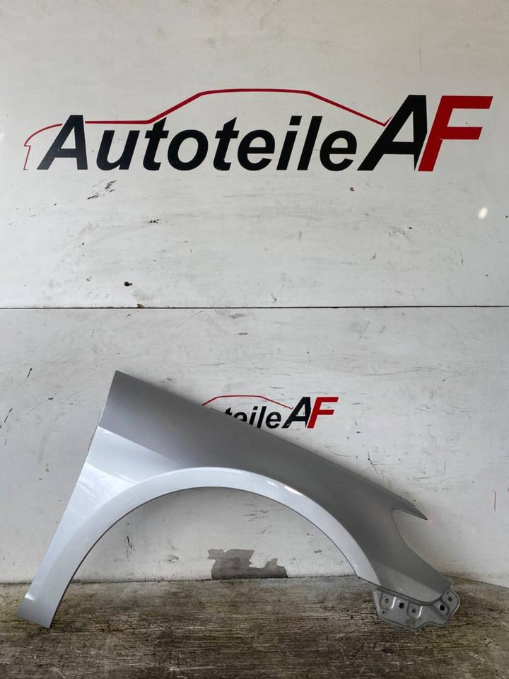 VW Passat CC Kotflügel Seitenwand Vorne Rechts LA7W – Bild 9