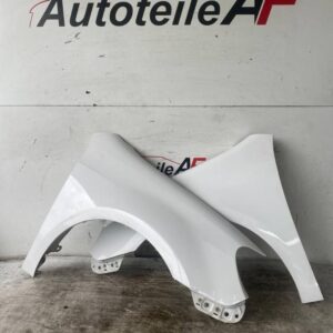 VW Golf 6 VI Limousine Kotflügel Vorne Rechts LB9A