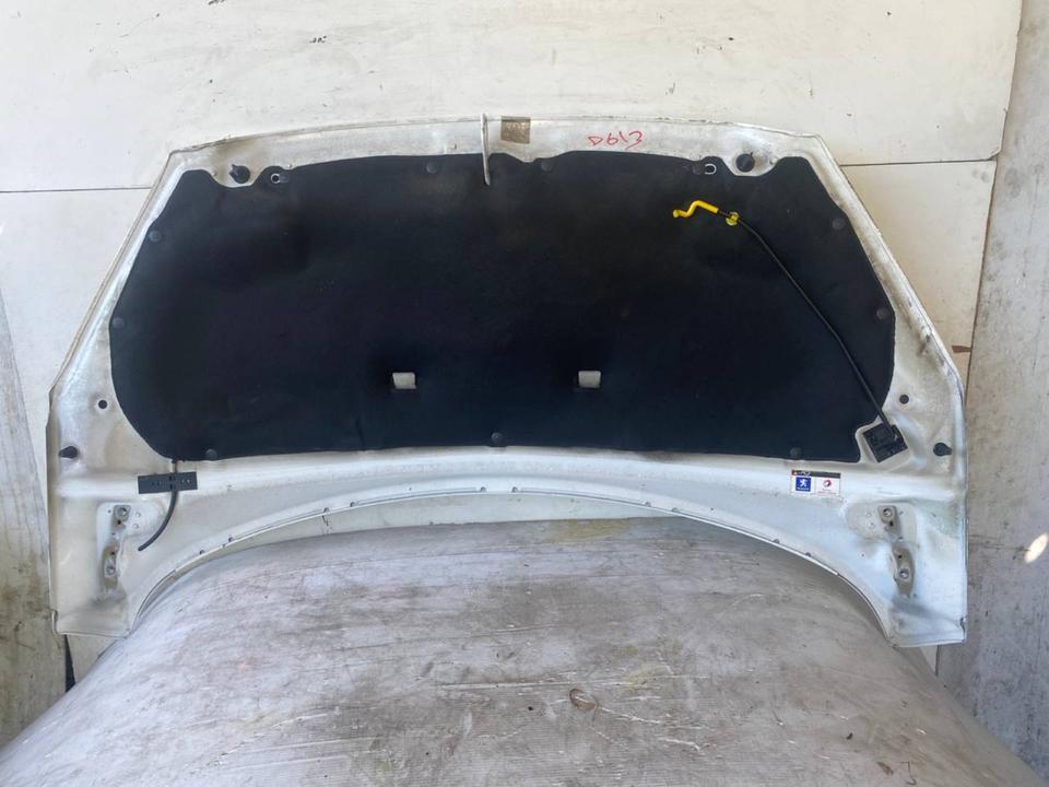 Peugeot 308 I T7 Motorhaube Haube Frontklappe Deckel Vorne EWP – Bild 11