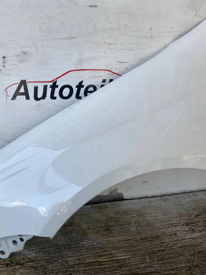 VW Golf 5 V Variant Kotflügel Seitenwand Vorne Rechts Links LR9A – Bild 5