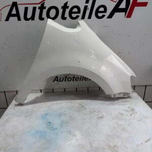 VW Sharan 7N Kotflügel Seitenwand Vorne Rechts LB9A