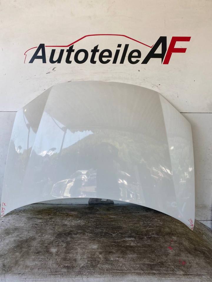 VW Golf 5 V Motorhaube Haube Frontklappe Vorne LR9A