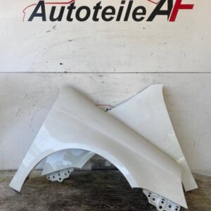 VW Golf 5 V Variant Kotflügel Seitenwand Vorne Rechts Links LR9A
