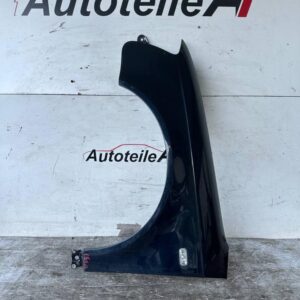 Audi A4 B7 8E Kotflügel Seitenwand Vorne Rechts Links LZ5A