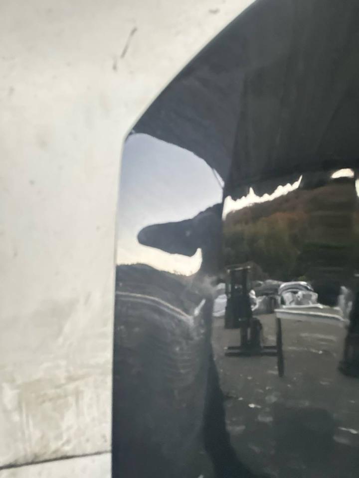 Audi Q7 4M Motorhaube Frontklappe Haube Deckel Vorne LC9X – Bild 10