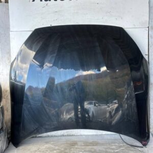 BMW Z4 G29 Motorhaube Frontklappe Haube Deckel Vorne 475