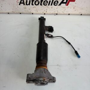 BMW Z4 G29 Stoßdämpfer Dämpfer Federbein Hinten 6895296
