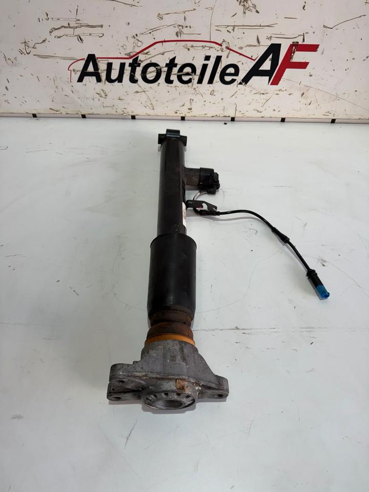 BMW Z4 G29 Stoßdämpfer Dämpfer Federbein Hinten 6895296